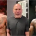 Dana White
